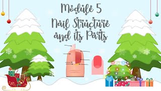 TLE Grade 78 Nail Care Module 5 Nail Structure and Its Parts [upl. by Assenav]