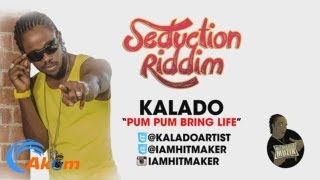 Kalado  Pum Pum Bring Life Raw Seduction Riddim June 2013 [upl. by Thedrick]