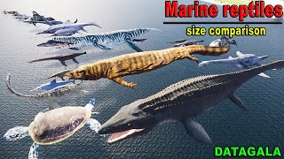 Ancient marine reptile Size Comparison 🐟 Which Marine reptile is the biggest [upl. by Yslek]