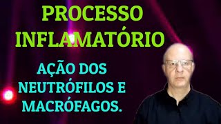 Processo inflamatório Ação dos neutrófilos e macrófagos [upl. by Liddy143]