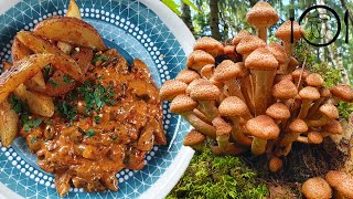 Nejlepší recept z Václavek Stroganov z Václavek Houbové recepty [upl. by Mccurdy]