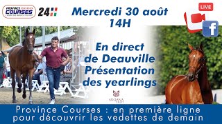 Présentation des YEARLINGS en direct de Deauville  Ventes Arqana TROT [upl. by Unders]