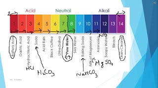 ആസിഡുകൾ amp ആൽക്കലി Acids and Alkali  Part 2  Class 10  Malayalam [upl. by Ahsaeym]