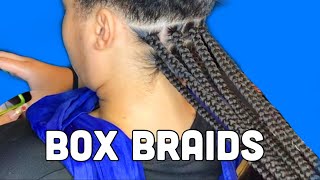 Traditional Medium Box Braids  Neat Box Braids [upl. by Valli]