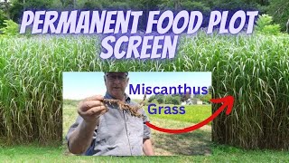 The Best Way to Plant a Permanent Plot Screen with Miscanthus [upl. by Latonia636]