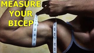 HOW TO MEASURE YOUR BICEPS  THE CORRECT WAY [upl. by Ambert]