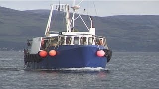 Trawling and Tubing Live Nephrops Prawns [upl. by Oiled392]