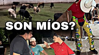 LLEGAN 11 TOROS A MI RANCHO PARA QUE Y DE QUIEN SON ELKC [upl. by Notsae]