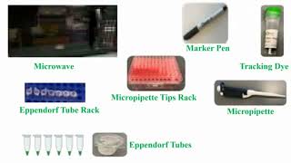 Tools Use for Gel Electrophoresis [upl. by Adamik]