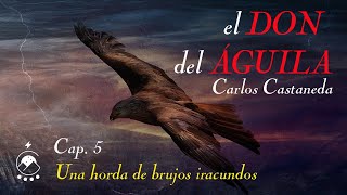 🦅 Cap 5 Una horda de brujos iracundos  𝘦𝘭 𝘋𝘖𝘕 𝘥𝘦𝘭 Á𝘎𝘜𝘐𝘓𝘈  Carlos Castaneda  Voz Chavenato [upl. by Emmuela53]