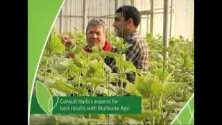 Multicote Agri Controlled Release Fertilizers  For Highly Efficient Fertilization English [upl. by Derwood]