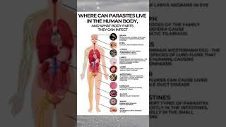 What is a Parasite  Parasites in human body [upl. by Enrev196]