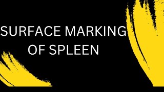 Surface marking of spleen [upl. by Oribelle668]