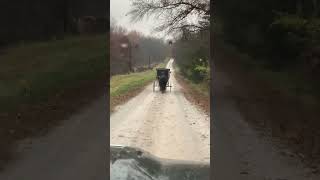 Amish are getting it Swamp People Style [upl. by Argyres]