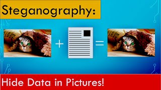 Steganography Find hidden data in pictures and other files [upl. by Jozef]