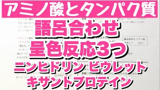 【語呂合わせ】アミノ酸とタンパク質の呈色反応の覚え方 ニンヒドリン反応・ビウレット反応・キサントプロテイン反応の語呂合わせ 天然高分子 ゴロ化学 [upl. by Ultun669]