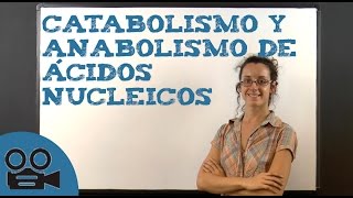 Catabolismo y anabolismo de ácidos nucleicos [upl. by Etteniotnna]