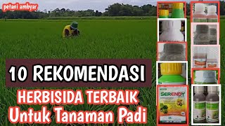 10 REKOMENDASI HERBISIDA TERBAIK UNTUK TANAMAN PADI [upl. by Ahsikit]