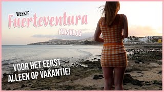 REISVLOG  Weekje FUERTEVENTURA Spanje alleen op vakantie  Vlog 75 [upl. by Asseniv]