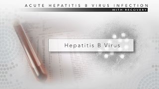 Hepatitis B CDC Viral Hepatitis Serology Training [upl. by Nahtanod]