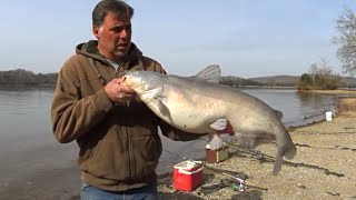 Basic Guide To Catching Big Catfish [upl. by Acinoev419]