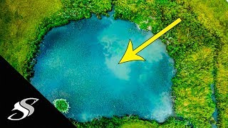 Catching TARPON amp Snook in EPIC Tiny Freshwater Ponds [upl. by Richarda]