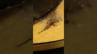 daal recipe with tarka recipe shortrecipe 1mintrecipe shorts daalrecipes [upl. by Corrina167]