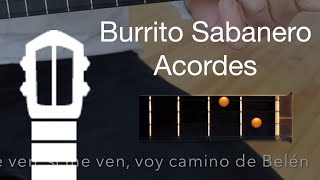 Burrito Sabanero  Canta con el Cuatro [upl. by Osy524]