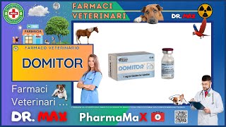 🐶 DOMITOR Farmaco Veterinario a cosa serve   Foglietto Illustrativo 👔 Dr MAX [upl. by Mulford]