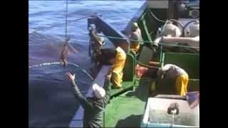 ITSAS LAGUNAK  2007  2008 mp4 [upl. by Notwen]