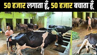 अपने इस Dairy Farm से नौकरी वाले से ज्यादा कमाता हूँ  Dairy Farm [upl. by Tahmosh]