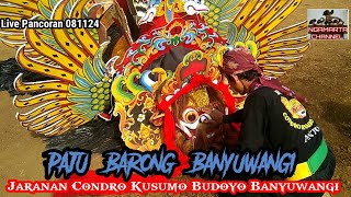 Paju Barong Banyuwangi  Jaranan CKB Banyuwangi  Live Pancoran 081124 [upl. by Cowen]