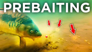 Carp Fishings Biggest Edge How To Prebait Effectively [upl. by Leitnahs]