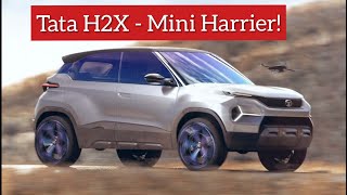 Tata H2X  Mini Harrier  Hornbill Micro SUV Concept [upl. by Aineg693]