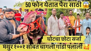 चर्चेत असनारा घोट गावचा सर्जा विजय 👑 50 फोन येतात पैरा साठी 😱 [upl. by Orling]