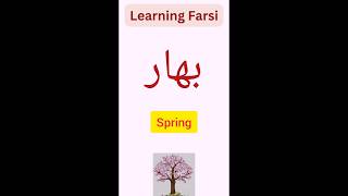 learning FarsiCommon nouns learningfarsi persianlearning [upl. by Aikat]