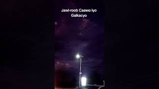 sidii Dhuuxi Boorame 🔥 Jawiga Galkacyo Caawo [upl. by Vicky325]