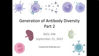 Immunology Fall 2022 Lecture 10 Generation of Antibody Diversity 2 [upl. by Blen]