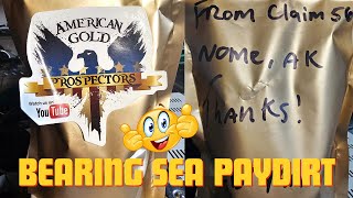 bearing sea pay dirt from american gold prospectors and claim 56 in nome alaska [upl. by Essirahs465]