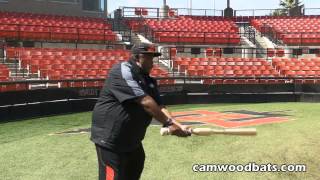 Tony Gwynn on His Approach to Hitting [upl. by Lodie]