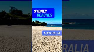 💜 TOP SYDNEY BEACHES 💜 Sydneys Best Australia sydney australia beaches [upl. by Sianna735]