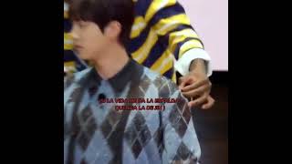 Que me de la espalda de jin bts fandom army jin seokjin espalda 57cm [upl. by Ash906]