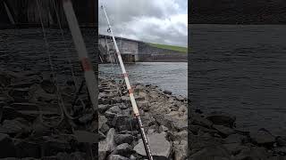 Paddlefish Snagging In Nashville Tennessee freshwaterfish fishspecies [upl. by Goldman239]