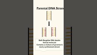 Animation of Different Replication Model ConservativeSemiConservative microbiology SurojitSir [upl. by Ahsuoj210]