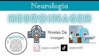 Neuroimagen  Niveles  Cortes En TAC Y RM [upl. by Hoffert476]