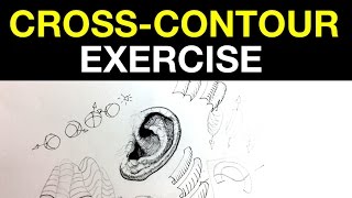 CrossContour Lines Exercise  Improve your crosshatching amp Ink drawing [upl. by Kath]