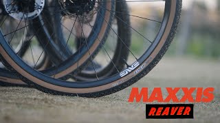 Introducing the AllNew Maxxis Reaver [upl. by Adnalue]