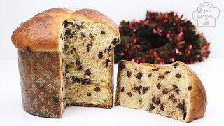 El Mejor Panettone de Chocolate hecho en casa 😍 [upl. by Akcira]