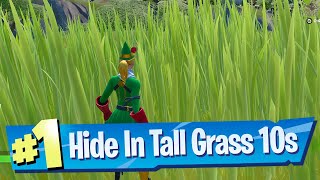 Hide In Tall Grass for 10 Seconds Location  Fortnite [upl. by Aizti]