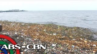 TV Patrol Manila Bay rehab ginagamit sa pangangampanya [upl. by Asille]